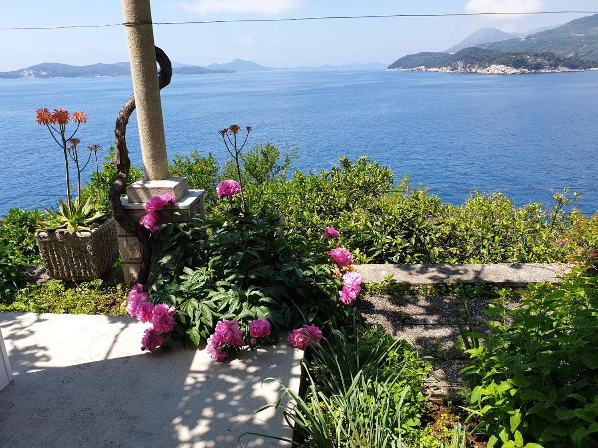 Apartments Bajo - Free Parking Dubrovnik Extérieur photo