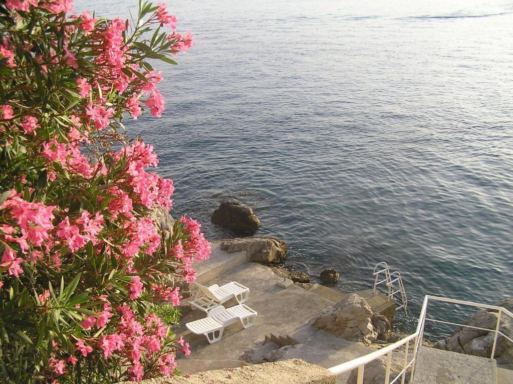 Apartments Bajo - Free Parking Dubrovnik Extérieur photo